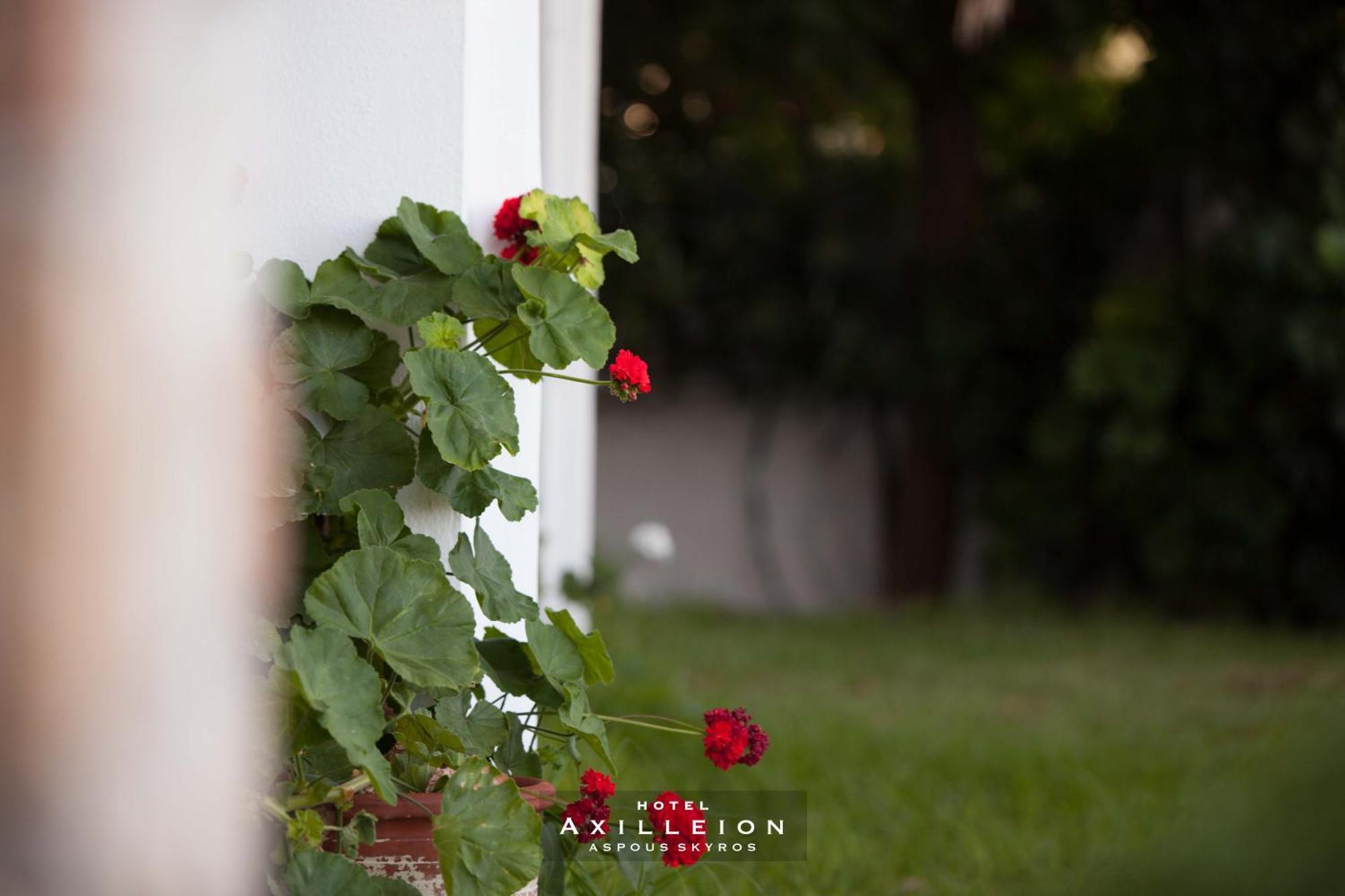 Achilleion Hotel Скирос Екстериор снимка